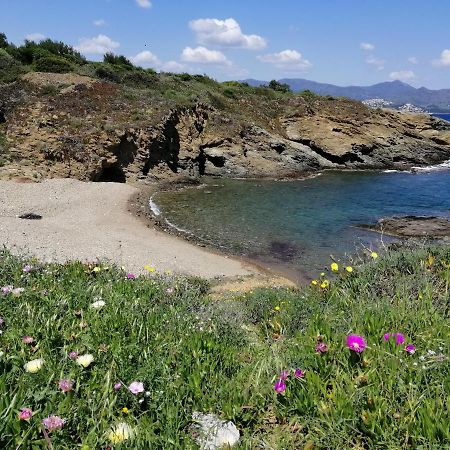 Casa Platja D'En Robert Villa El Port De La Selva Bagian luar foto