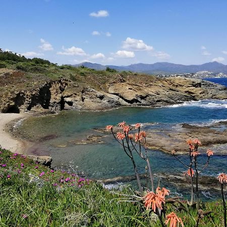 Casa Platja D'En Robert Villa El Port De La Selva Bagian luar foto