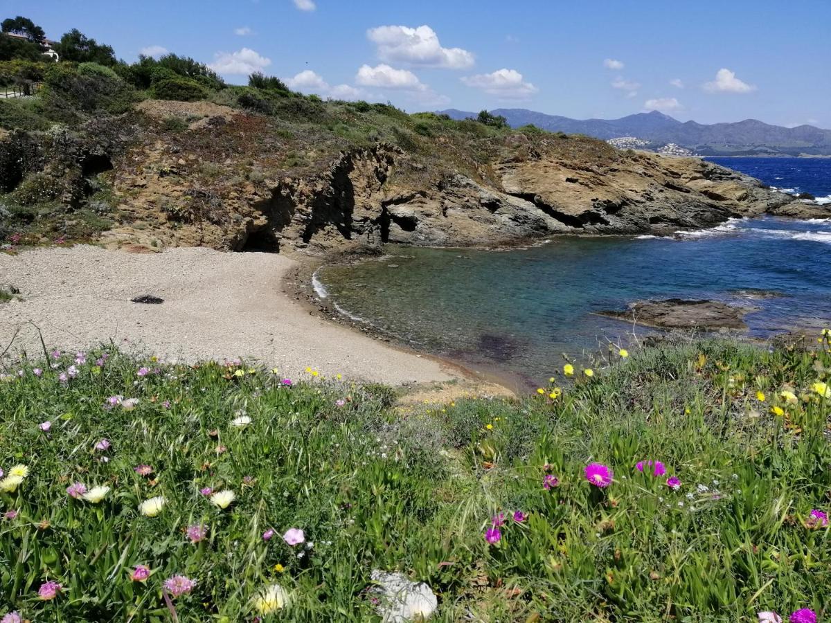Casa Platja D'En Robert Villa El Port De La Selva Bagian luar foto